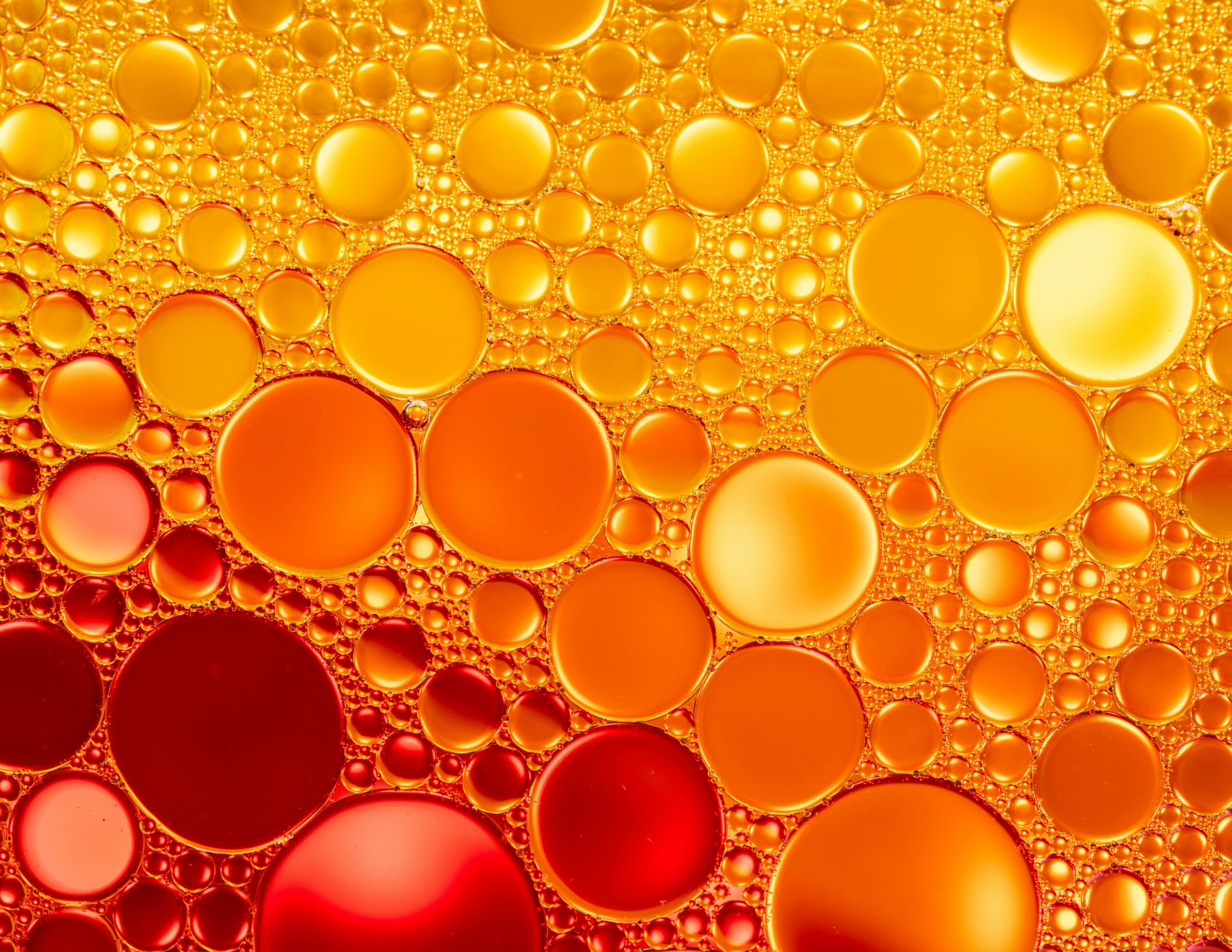 Olej lniany – naturalny eliksir zdrowia