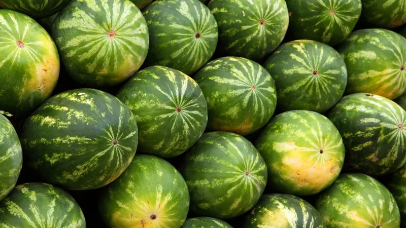 7 witamin niezbędnych dla zdrowej diety