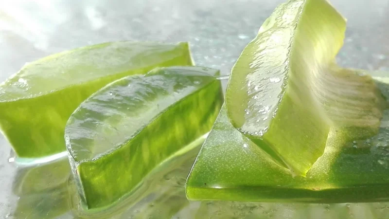 Zdrowotne wspaniałości Forever Aloe Vera Gel 330 ml do picia